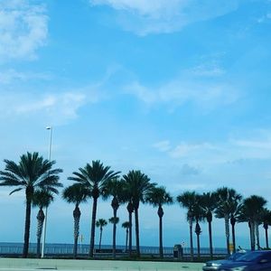 Meet your Posher, Mady